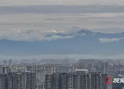 亚冠倒计时，奥兰多魔术今晨防线松动，细节引发关注，压力陡增，身体对抗强度拉满的简单介绍